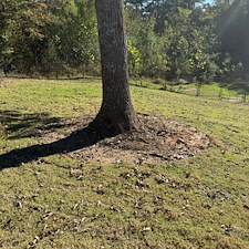 Pine-Straw-Installation-Oxford-MS 4